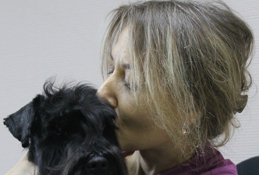 акупунктура для собак Ветеринарная реабилитация ATCVM