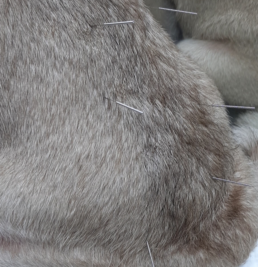 ATCVM акупунктура для собак ветеринарная акупунктура ATCVM